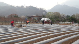 충주동량면 주민자치위, 나눔농장 감자 파종