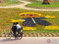 증평군 보광천 뽀로로 꽃밭