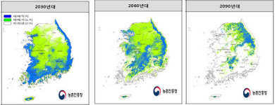 세종 특산물 조치원 복숭아, 신도시 건설 효과 봤다
