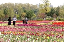 청주시SNS서포터즈 - 도심 속 자연의 숨결 까치내