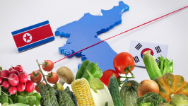 북한 주민도 충북 농산물 맛 볼 수 있길