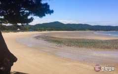 93차 충북일보클린마운틴 - 태안해변길 1코스~바라길