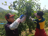 충주시, 농촌일손 부족 해소 앞장