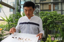 멸종위기 가시연꽃 전국 첫 영농조합법인 설립