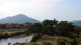 영동군SNS서포터즈 - 양산팔경 금강둘레길