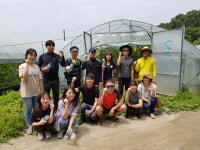 충주 교현2동 직원들 생산적 일손봉사 나서