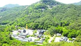 충북 관광 孝子 속리산 부활 신호탄