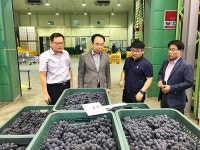 농협경제본부장, 옥천APC 방문