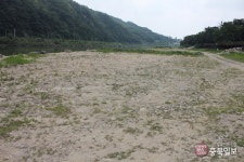 돈 먹는 하마 괴산 목도강수욕장 이용객 한명도 없다