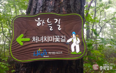 96차 충북일보클린마운틴 - 정선 하이원 하늘길