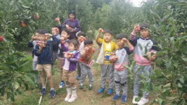 충주 강천초병설유치원, 녹색성장 체험학습