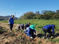 증평읍 주민자치위원회, 생산적 일손봉사 나서