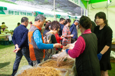증평인삼골 축제 출하 인삼 전량 완판 인기 상한가