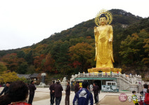 법주사지구 활용해 속리산 명성 되찾자
