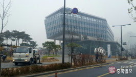 세종시청 마지막 거송(巨松)은 구슬비 속에 사라졌다