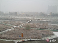 21일 충북 첫눈 내릴 가능성 ↑