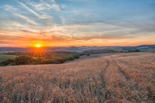 아침을 여는 詩 - 들길