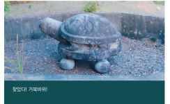 충주시SNS서포터즈 - 하구암리 거북돌 전설