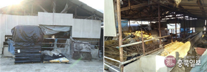 증평군 축사 악취에서 해방 