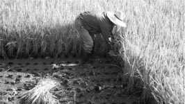 농촌 소멸 위기, 농촌 살리는 마을 공동체