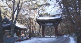 충북도SNS서포터즈 - 보은 속리산