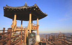 충북도 SNS서포터즈 - 음성 반기문 비채길