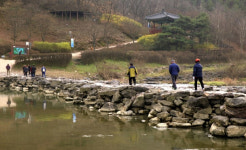 충북도SNS서포터즈 - 진천 농다리의 사계절