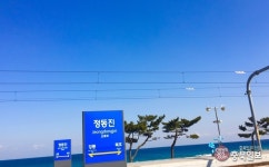 렌즈세상 - 정동진역