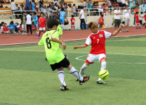 조마컵 단양팔경배 전국유소년 축구대회 열려