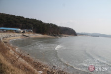 101차 충북일보클린마운틴 - 태안 해변길 6구간(샛별길)