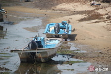 101차 충북일보클린마운틴 - 태안 해변길 6구간(샛별길)