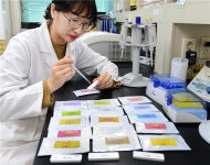 원예작물 바이러스 진단 2분만에 가능