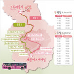 세종 고복저수지 봄꽃 나들이,이젠 시내버스로 가세요