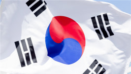 보은 3·1만세운동 면 단위 전개