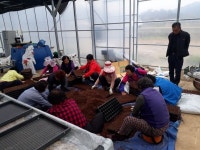 옥천 안내면 오덕1리, 농산물 공동 재배로 노인 소일거리 소득화 앞장