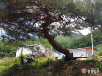단양군 용부원 2리 주민들 마을 수호신 사라질라 전전긍긍