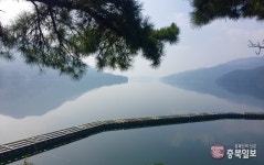 렌즈세상 - 대청호 새 풍경