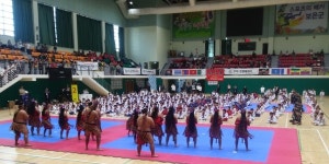 2회 국제 무예 올림피아드대회 성료