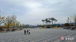 은행잎 물들고 국화 활짝 핀 세종호수공원의 가을