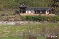 녹조덩어리 옥천명소 앞 하천까지 오염 악취 둥둥