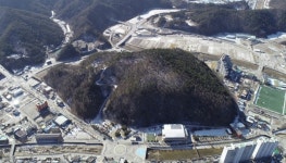 단양군 매포 매화공원, 정비사업 추진