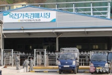코로나19로 휴장한 옥천 가축경매시장 재개장
