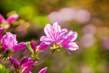 아침을 여는 詩 - 풍경