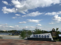 여름 시작 5월말에 세종호수공원 하늘은 가을