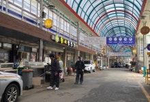괴산 청천면, 일제 방역의 날