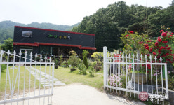 #샵스타그램 - 증평 율리 카페 자연등잔길