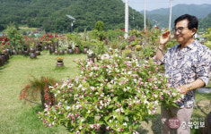#샵스타그램 - 증평 율리 카페 자연등잔길