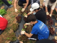 단양 가평초, 꼬마 농부들의 텃밭 가꾸기