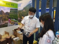 국내여행 정보 한눈에