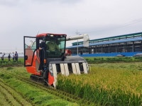 청주시 청원구 북이면서 첫 벼베기
